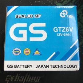 Battery GTZ6V